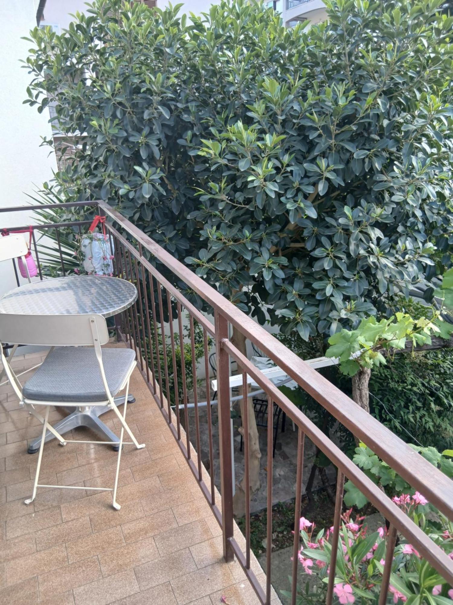 布德瓦中心公寓 外观 照片